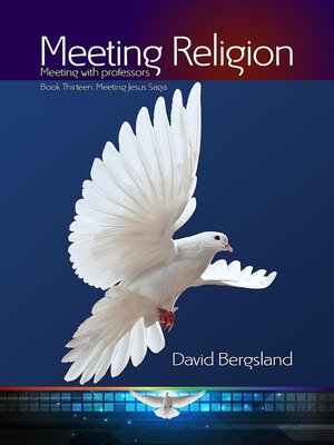 cover image of Meeting Religion